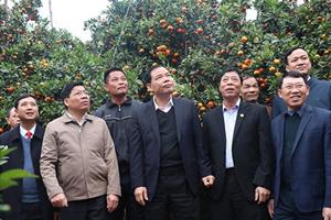 Ngành Nông nghiệp và PTNT Bắc Giang thắng lớn: Kết quả của cách làm bài bản