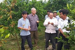 Hội Làm vườn huyện Quảng Ninh: Giúp hội viên tiêu thụ nông sản trong dịch Covid-19