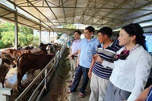 Ngành Nông nghiệp và PTNT Tuyên Quang: Nhiều kết quả nổi bật