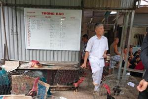 Quảng Yên: Bắt giữ 59 đối tượng đánh bạc dưới hình thức đá gà ăn tiền