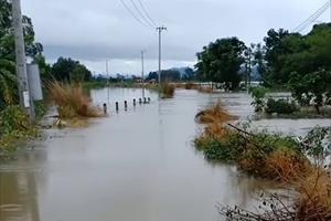 Phú Yên: Mưa lớn kéo dài nhiều khu dân cư bị ngập sâu trong nước