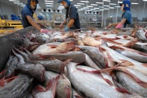 Lượng cá tra tồn kho của Mỹ đã hết, cơ hội cho thủy sản Việt Nam