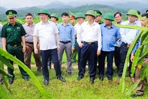 Lãnh đạo tỉnh Nghệ An thăm mô hình kinh tế tại xã Tam Quang