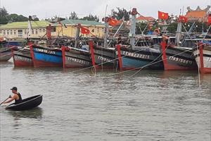 TT - Huế: Ngư dân được hỗ trợ mua bảo hiểm thân tàu và bảo hiểm thuyền viên