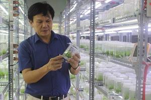DN Nông Tín với công tác nghiên cứu khoa học nông nghiệp