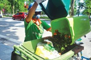 Ngăn chặn ô nhiễm môi trường từ rác thực phẩm