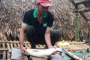 Thanh Hóa: Cá chết trên sông Mã, chính quyền đi tìm nguyên nhân
