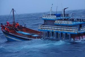 Chín ngư dân gặp nạn trên biển do tàu gãy chân vịt