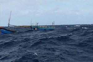 Chìm tàu cá trên biển, 11 ngư dân Quảng Bình may mắn được cứu sống