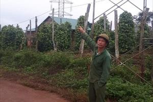 Thi công đường dây 220kV ở Đắk Nông: Nhiều hộ dân chưa thống nhất mức hỗ trợ bồi thường 