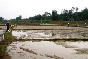 Quảng Ngãi chủ động ứng phó mưa lớn, sạt lở đất có thể xảy ra trên địa bàn tỉnh