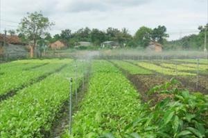 Ứng dụng phun nước tự động vào sản xuất nông nghiệp để bảo vệ tài nguyên nước