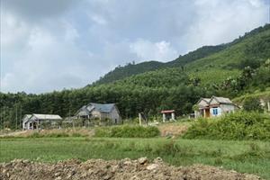 Huyện Hạ Hòa cần sớm vào cuộc xử lý tình trạng san lấp đất nông nghiệp trái phép