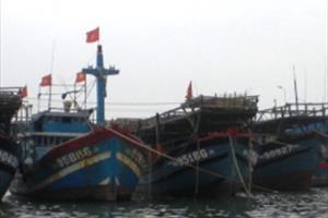 Quảng Ngãi: Nghiêm cấm tất cả các phương tiện, tàu, thuyền ra biển hoạt động 