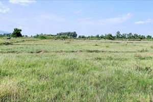Đất nông nghiệp bỏ hoang được chuyển thành đất thổ cư khi được phép của cơ quan có thẩm quyền  
