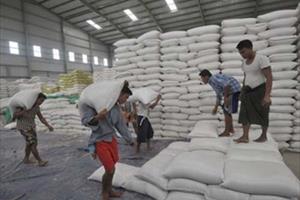 Myanmar nuôi tham vọng đứng đầu thế giới về xuất khẩu gạo