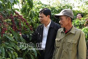 Hợp tác công - tư: Góp phần nâng cao giá trị cà phê Việt