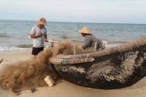 Ngư dân Huế điêu đứng trước tình trạng cá nóc xuất hiện bất thường