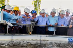 Sự kiện 24/7: Thủ tướng chỉ đạo Formosa thực hiện nghiêm quy định đảm bảo môi trường, ách tắc tại khu vực sân bay Tân Sơn Nhất, công nhân Việt tử nạn tại Lào…