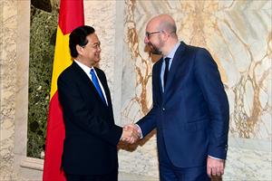 Thủ tướng Nguyễn Tấn Dũng hội đàm với Thủ tướng Bỉ