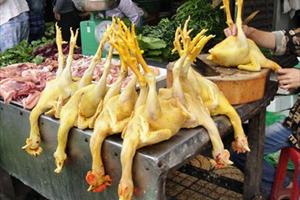 “Nhuộm” gà bằng hóa chất nhuộm vải, bị phạt 24 triệu đồng