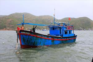 Bình Định: Tàu cá Khánh Hòa và 5 ngư dân gặp nạn ở ngư trường Hoàng Sa vào bờ an toàn