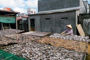Thiếu nguồn nguyên liệu - làng nghề chế biến hải sản gặp khó