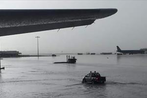 Mưa cả ngày, bãi đậu sân bay Tân Sơn Nhất lại ngập
