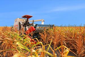 Doanh nghiệp đầu tư vào nông nghiệp “vướng” rào cản đất đai