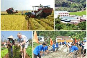 Xây dựng nông thôn mới: Tập trung bảo đảm các tiêu chí ‘mềm’