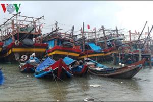 Miền Trung cấm tàu thuyền ra khơi, chủ động ứng phó với mưa lớn