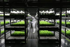 “Cơn sốt” nông nghiệp công nghệ cao tại châu Á
