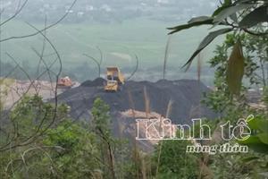 Cho thuê đất trên vỉa than ở Quảng Ninh: Xây nhà máy hay khai thác than trá hình?