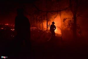 Hà Nội: Điều tra nguyên nhân vụ cháy rừng phòng hộ Nam Sơn