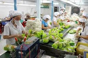 Xuất khẩu rau quả kỳ vọng vượt 3 tỷ USD