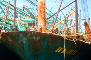 Thủ tướng yêu cầu điều tra làm rõ vụ tàu cá vỏ thép nằm bờ