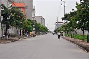 Huyện Thanh Trì (Hà Nội) đạt chuẩn nông thôn mới