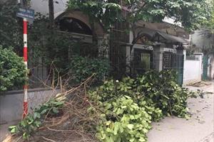 Hà Nội: Bài học kinh nghiệm rút ra qua những biểu hiện mất dân chủ ở cơ sở từ vụ chặt cây xanh như “lâm tặc” tại phường Hoàng Văn Thụ