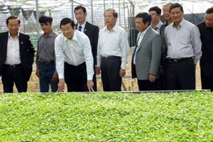 Chủ tịch nước thăm mô hình nông nghiệp công nghệ cao ở Lâm Đồng