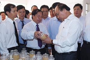 Thủ tướng: Cải cách ngành lúa gạo, hướng vào sản xuất hàng hóa