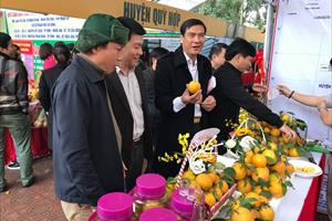 Nghệ An lần đầu tiên tổ chức hội chợ cam Vinh