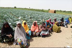 FAO cảnh báo tình trạng gia tăng nạn đói trên thế giới