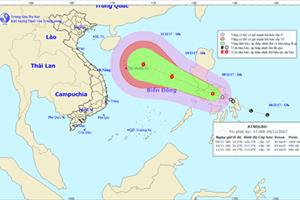 Áp thấp nhiệt đới có thể thành bão hướng vào biển Đông, gió giật cấp 12
