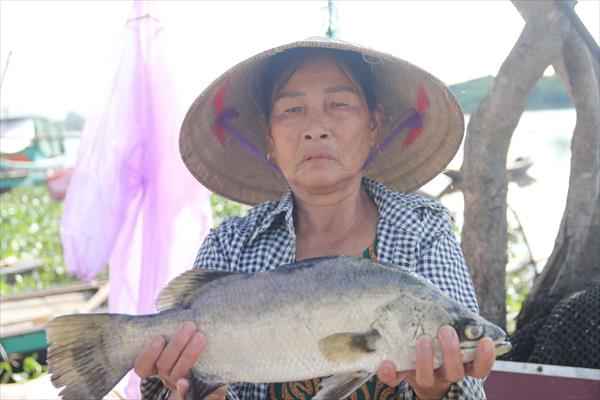 Đã tìm ra nguyên nhân 50 tấn cá chết tại thôn Sông Hải