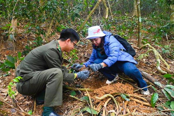 Thanh Hoá: Trồng hơn 19.000 cây xanh tại Vườn Quốc gia Bến En