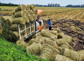 Sản xuất nông nghiệp tuần hoàn: Chìa khóa phát triển nông nghiệp bền vững