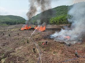 Hơn 100 kiểm lâm và người dân tham gia diễn tập phòng cháy chữa cháy rừng