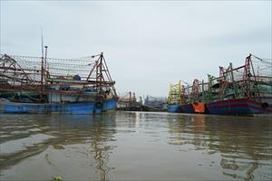 Tăng cường quản lý tàu cá xuất, nhập bến tại cảng cá Ngọc Hải