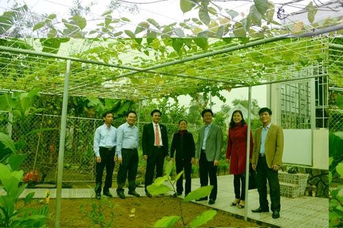 Hiệu quả thiết thực từ mô hình vườn chuẩn vườn mẫu nông thôn mới ở Anh Sơn