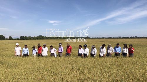 Hướng đi của Quảng Trị: Sản xuất nông nghiệp hữu cơ